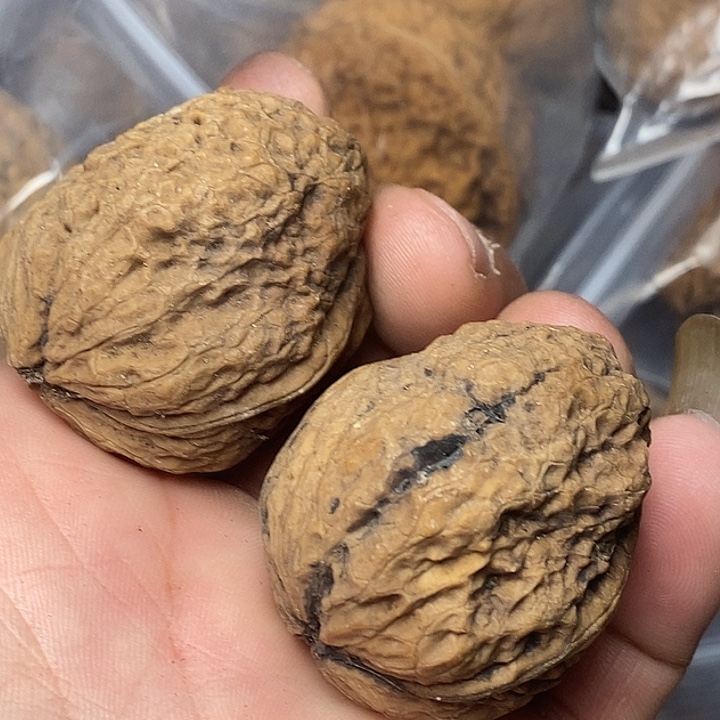 文玩核桃把件志成云铁文玩41