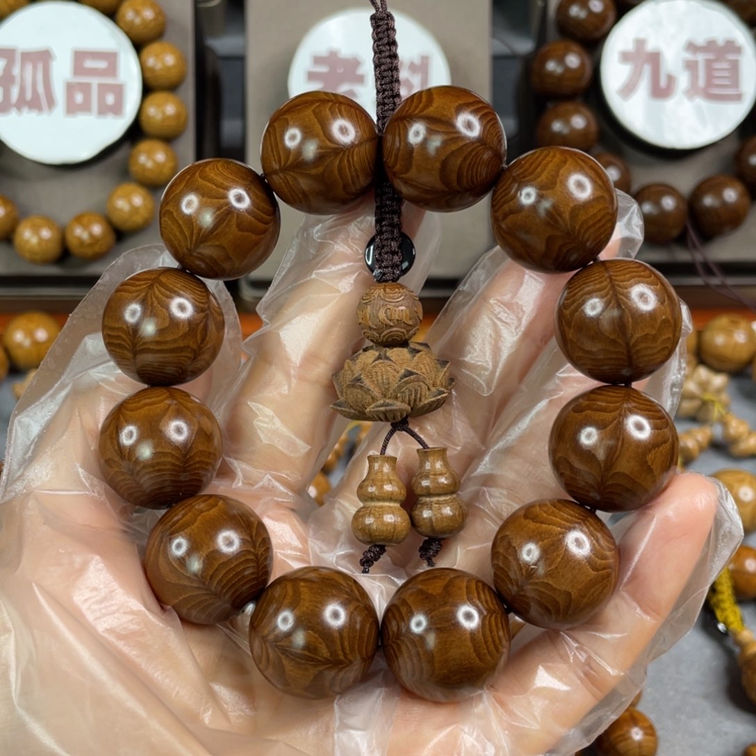 六道木枯树， 毕业2.0