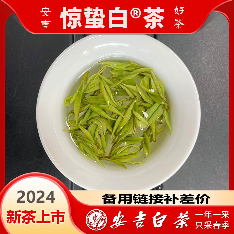 2025新茶安吉白茶备用网红茶链接