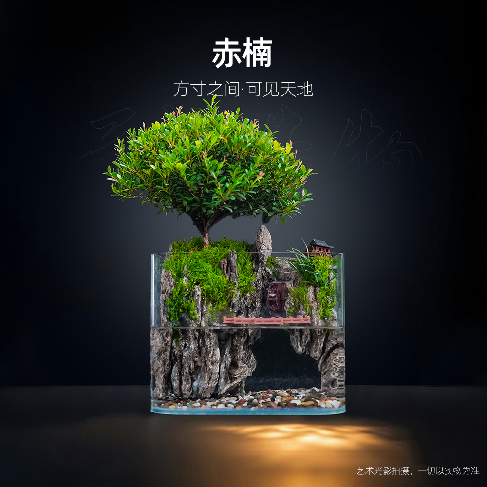 【雾隐】江南水乡2.0—桌面新中式山水微景观小叶赤楠成品【18*12*14】