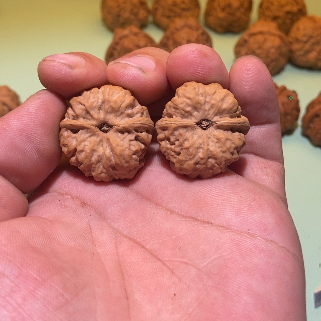 核桃手串/手链@蛤蟆头30一对