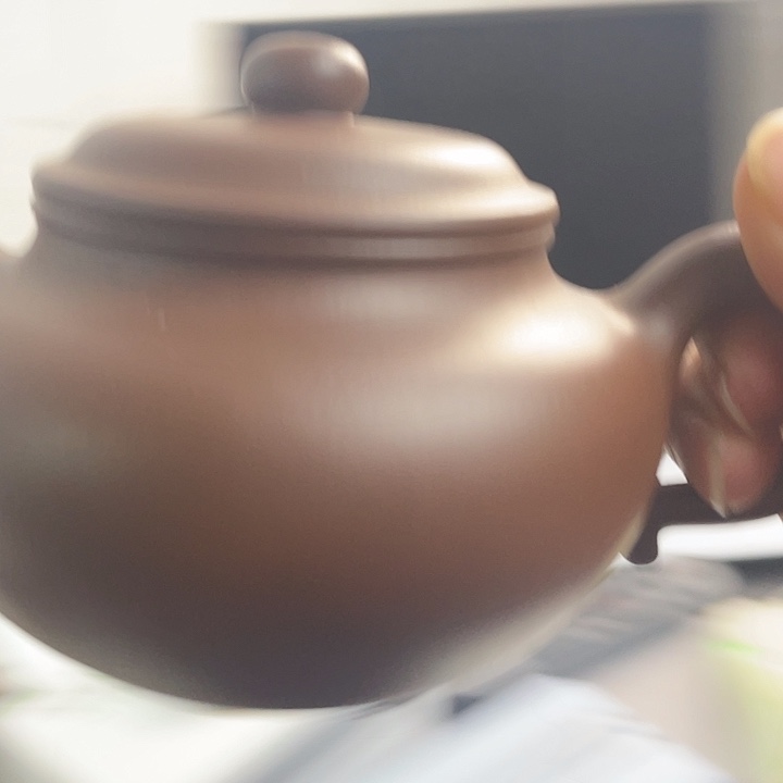 茶壶紫砂宜兴原矿紫砂作品