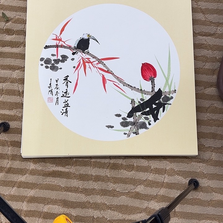 国画花鸟等多种鸟类的