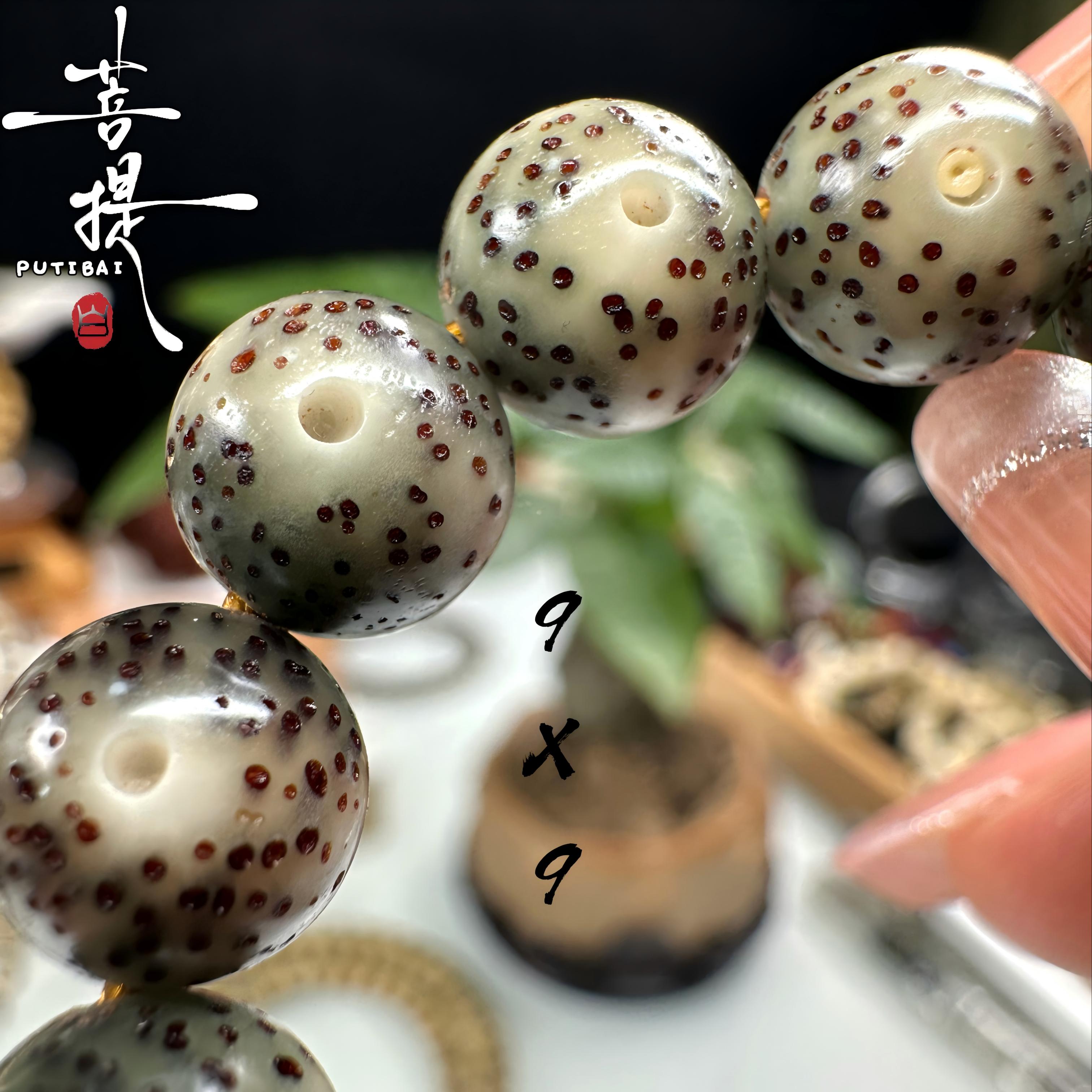 PUTIBAI菩提白海南原生态星月菩提石玉料绿幽灵9X9正圆珠手持