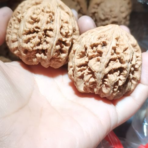 猴头核桃吊坠用****247粗筋