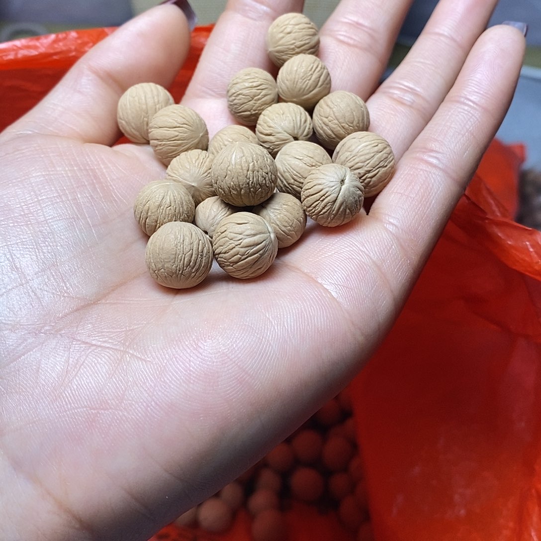 手串猴头核桃韓*11龙岩