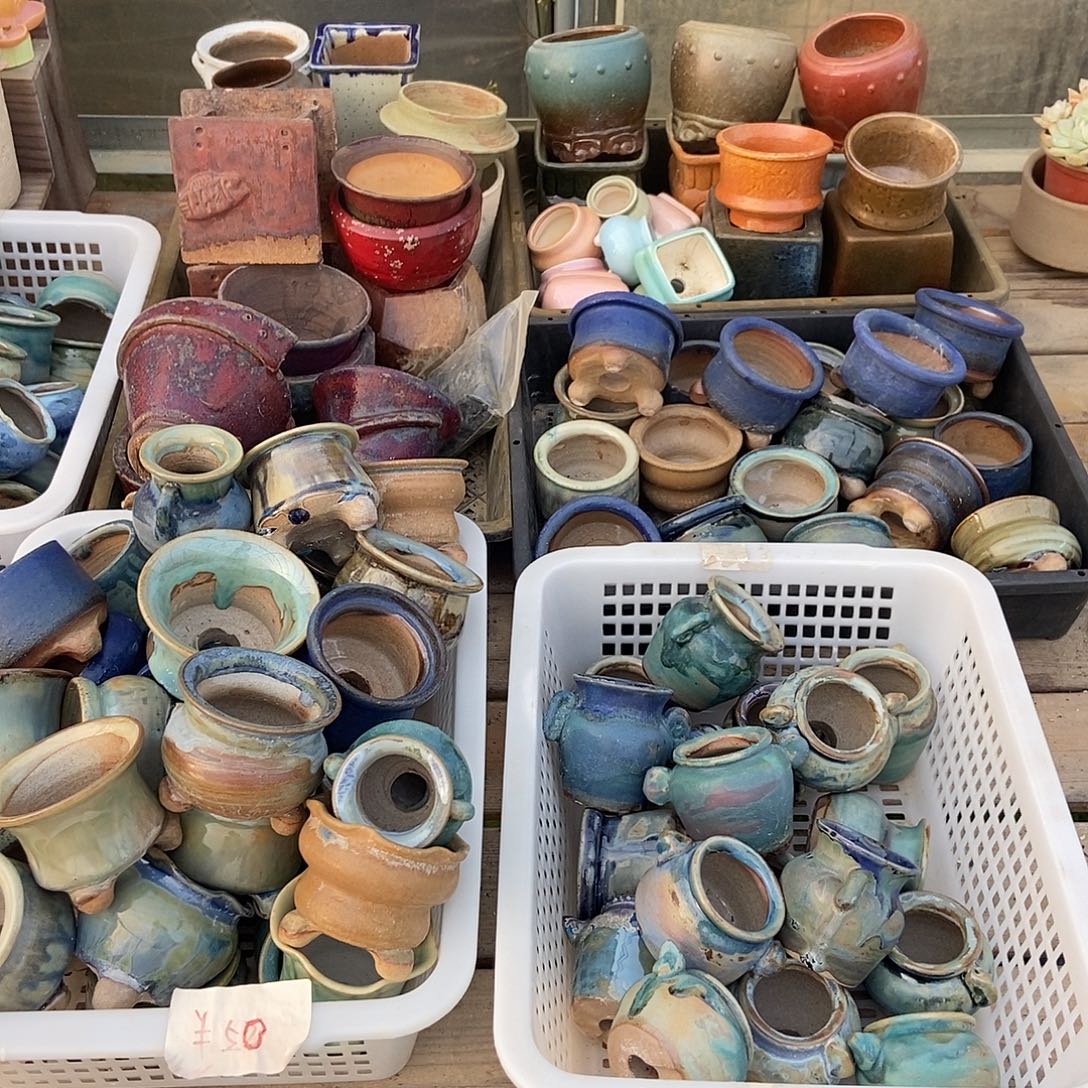 花盆组合套餐指定区域自选十个口径4-6厘米微瑕