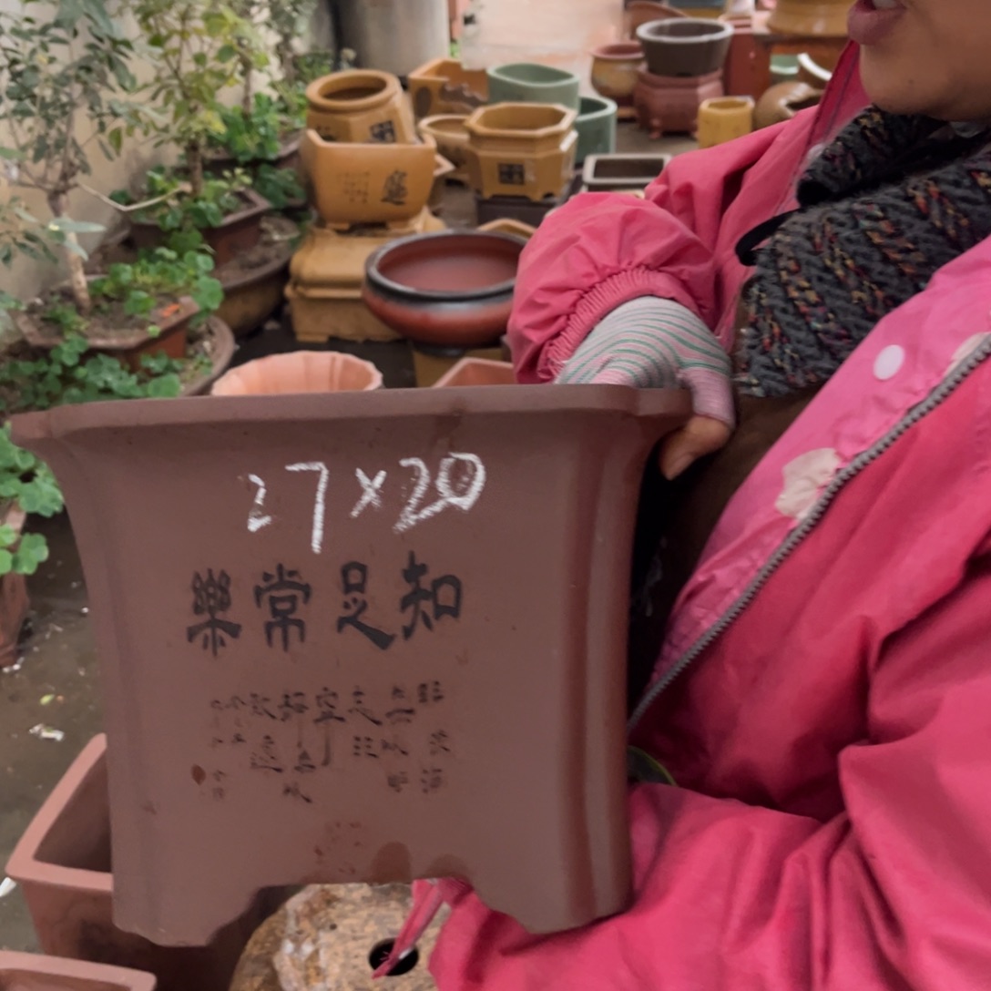 花盆紫砂盆景艺术