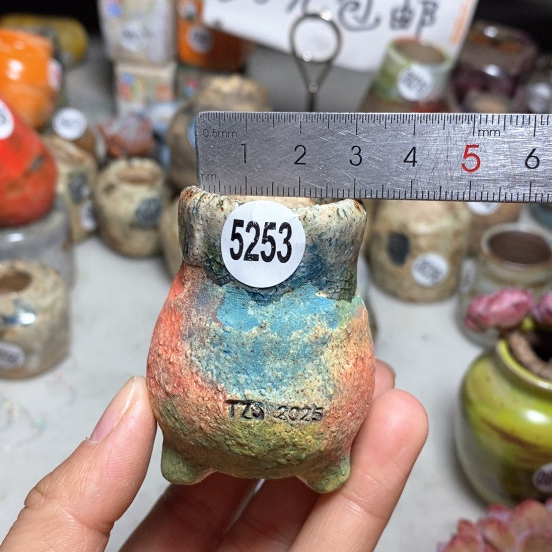 花盆拍3送一个小礼物