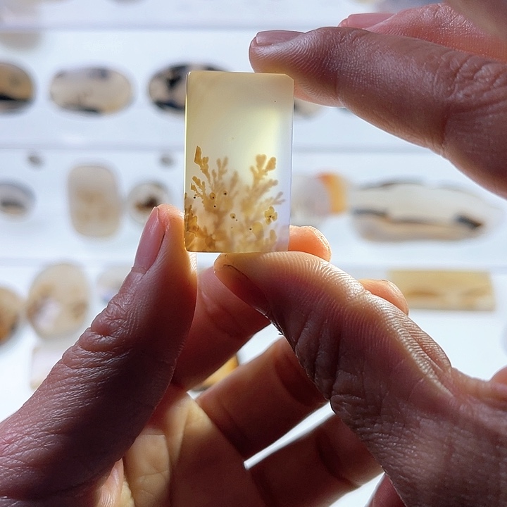 【闪购商品】玛瑙/玉髓珠宝半成品未镶嵌