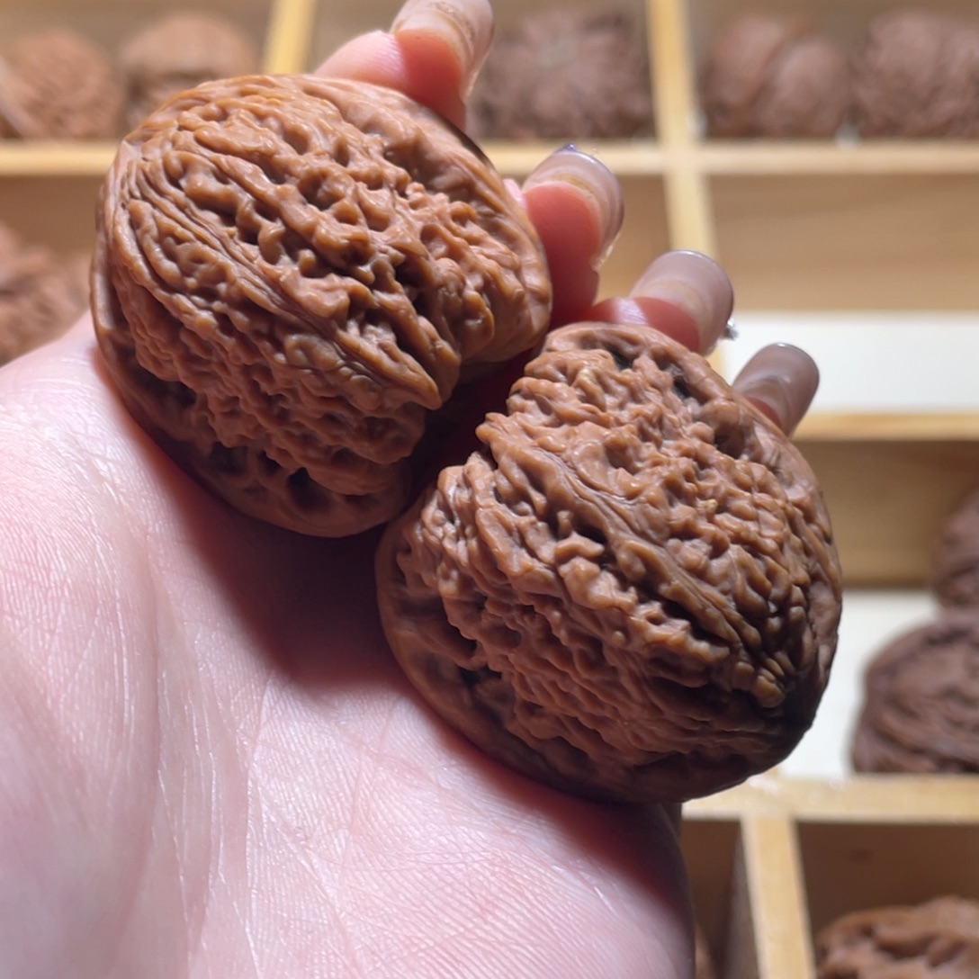 木质        南疆石37