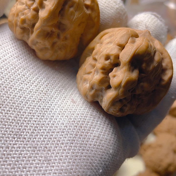 桃核吊坠七**.蛤蟆狮子头