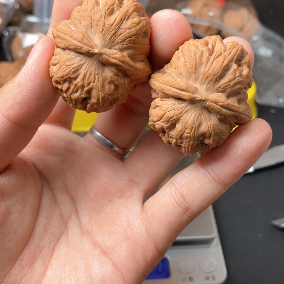 吊坠猴头核桃大*?