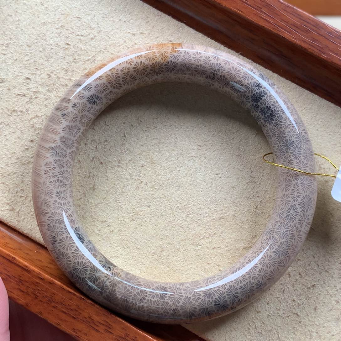 硅化珊瑚（珊瑚玉）黑咖底清晰枫叶52.2圈口漏200/支。未