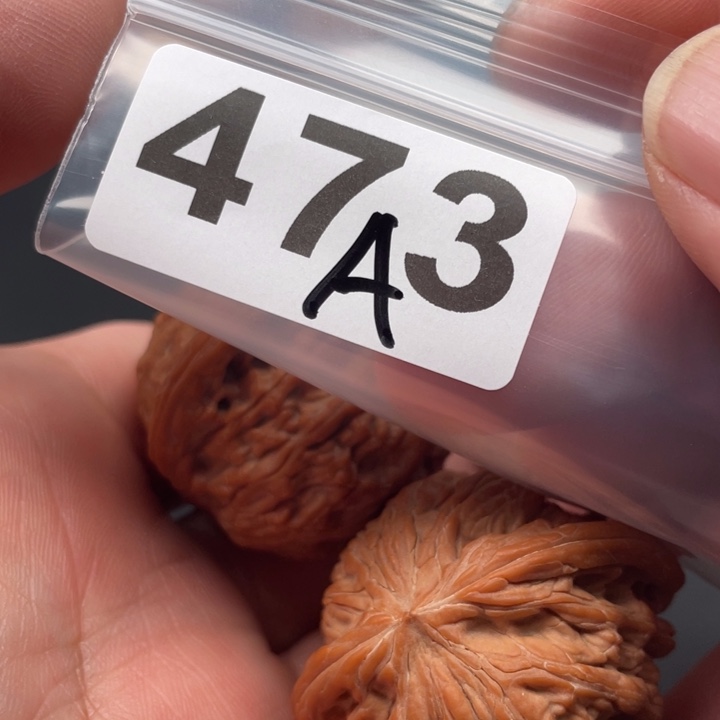 文玩核桃吊坠磨盘42