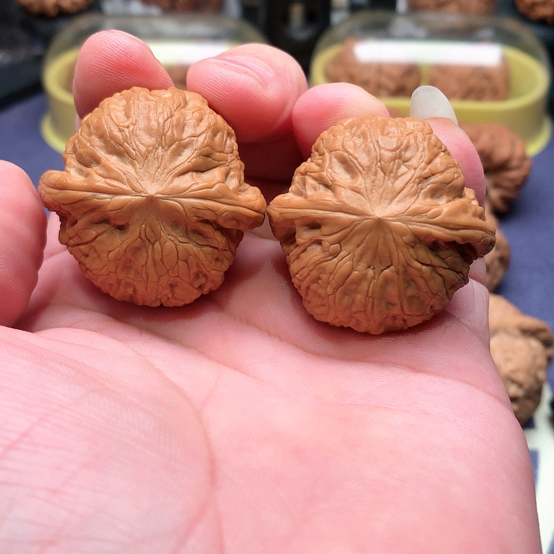 文玩核桃把件39铁锤全品