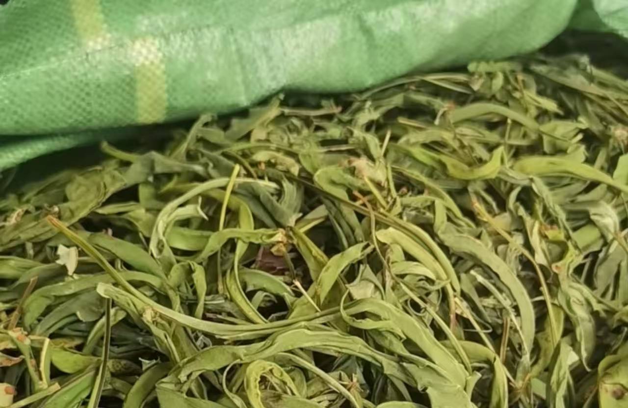 【肥妹妹甄选】自然晒干石仔茶深山石草煲水