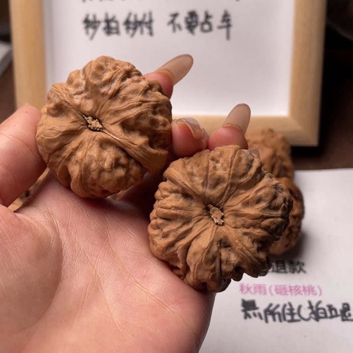 落***风边43肚43同尺 全品蛤蟆