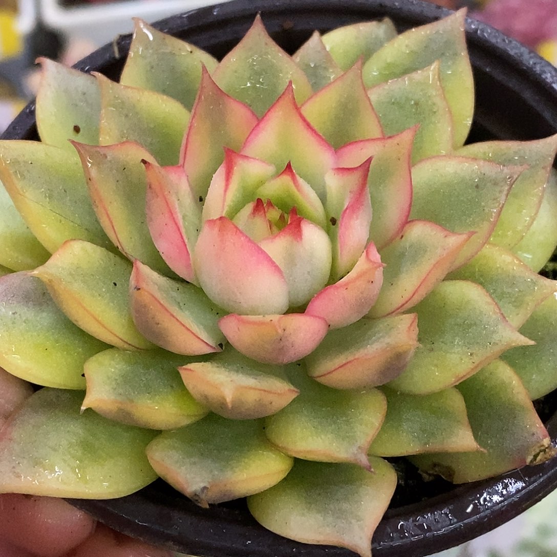 468哈哈哈哈哈哈哈哈哈哈