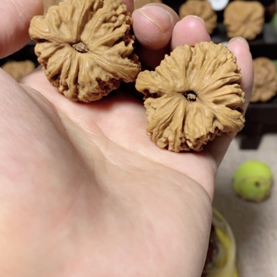 文玩核桃把件去年夏天