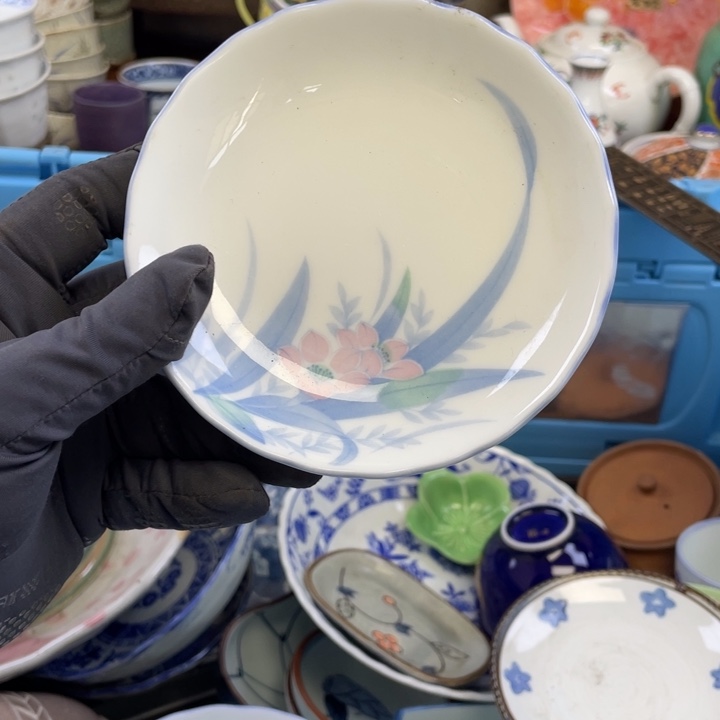 碟开播了开播了开播了