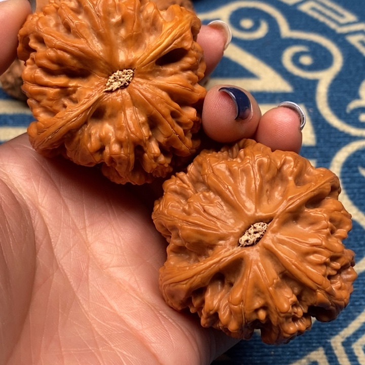 文玩核桃吊坠粗筋