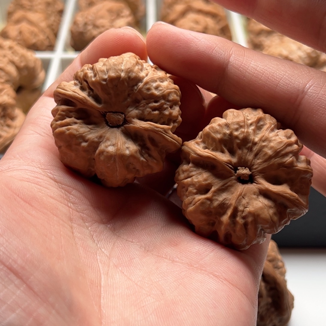 核桃把件延庆蛤蟆头