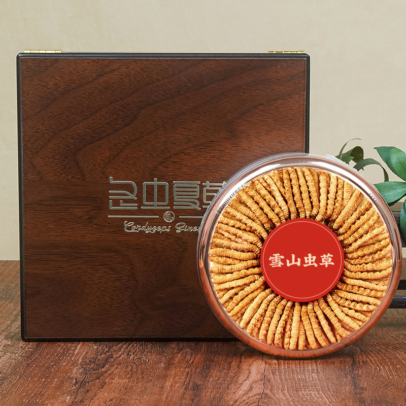 【初一虫草】50根草王3根/克冬虫夏草2025年头茬草秋冬滋补煲汤送礼