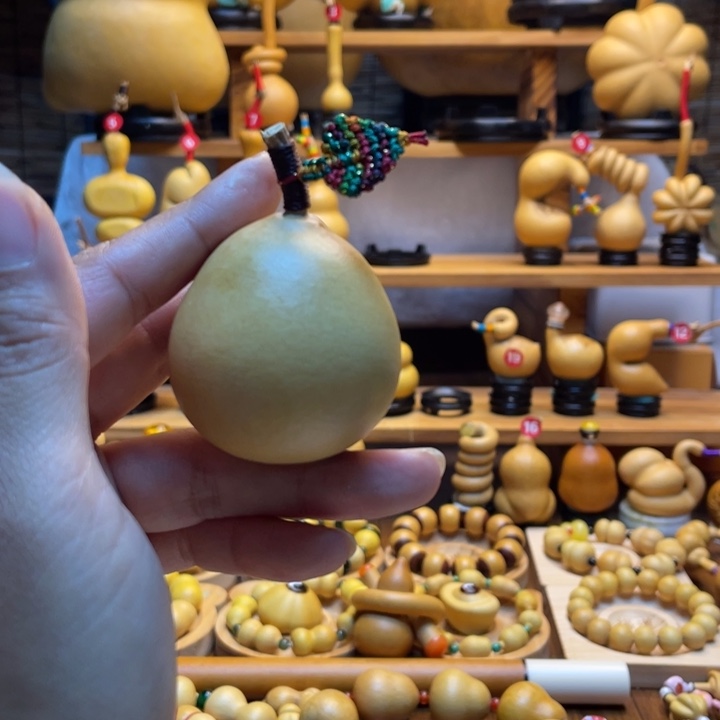 苗***子天然葫芦自然生长