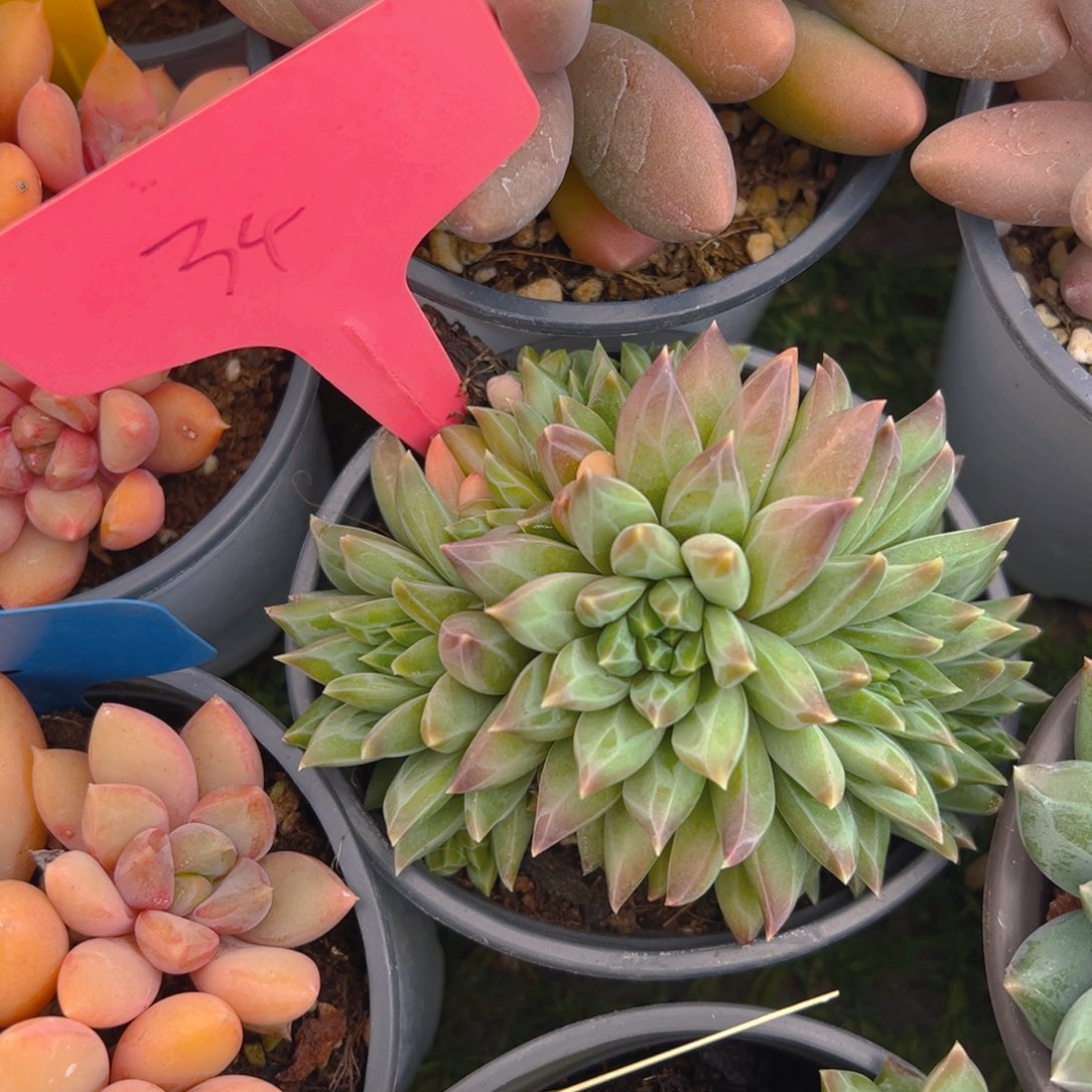 福利来了来了来了来啦