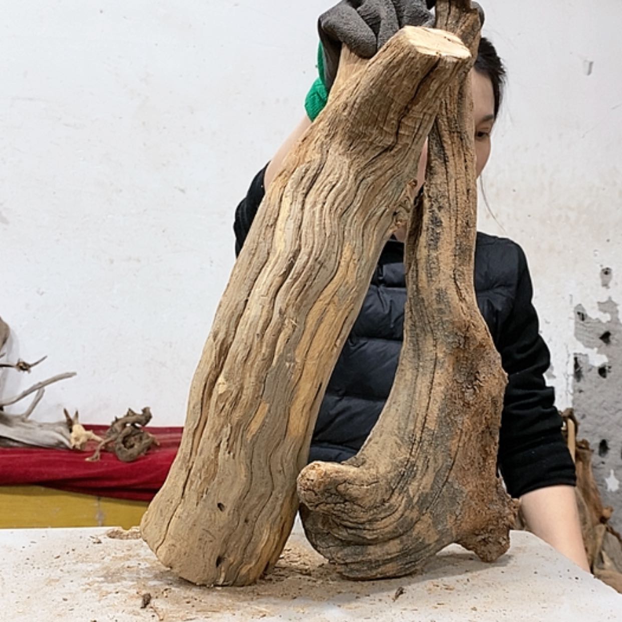 【闪购商品】柏木啊*我们都是好孩子