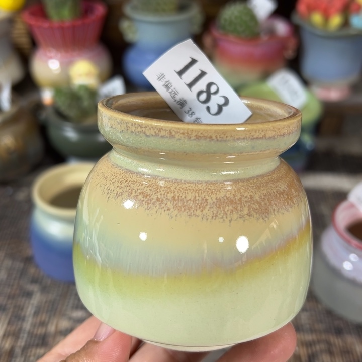 口5高6 未满30运费到付