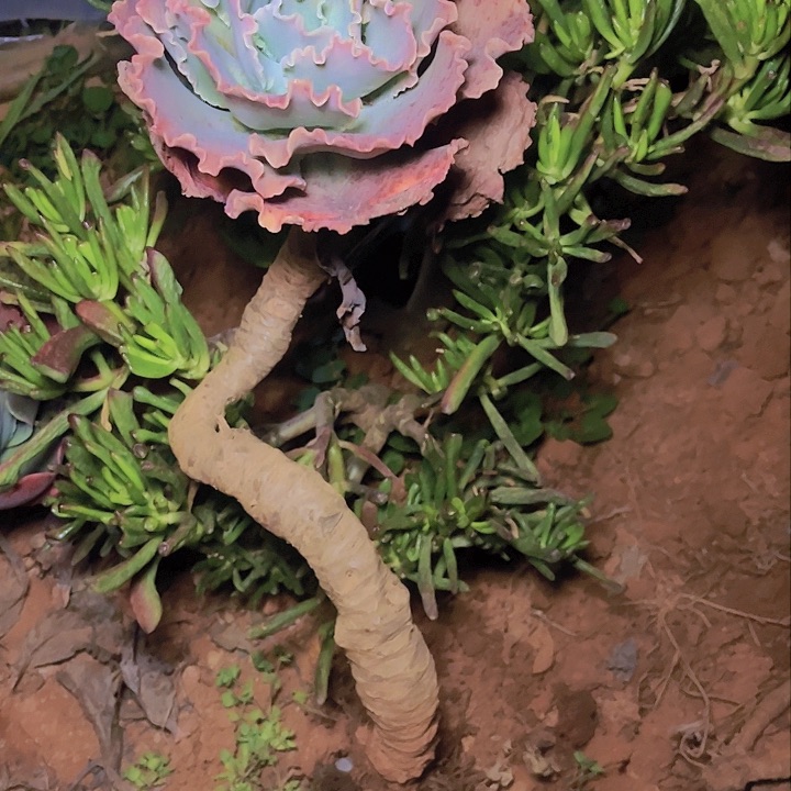 凌***g这个点吃晚饭真的要困