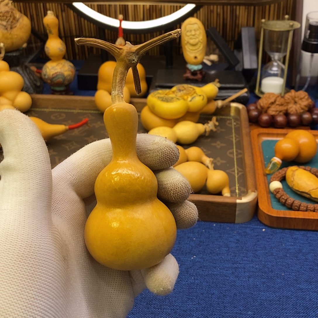 M****o舍的出品精选天然葫芦