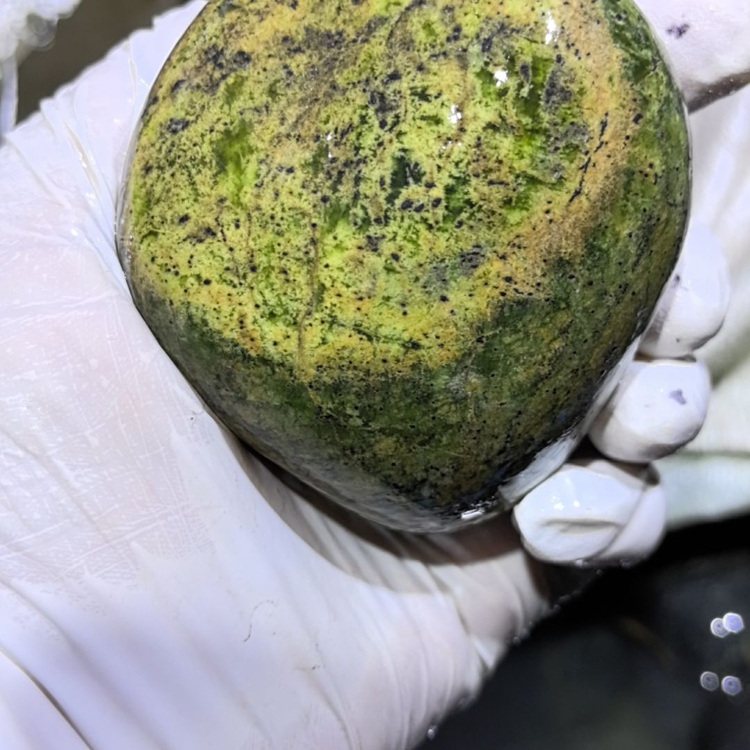 麦***1藏玉药王石原石一个摆件一个