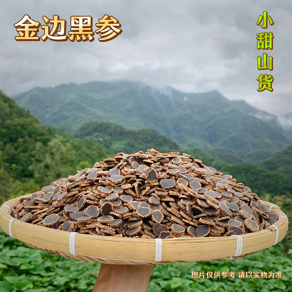 乡村小甜 - 金边黑参