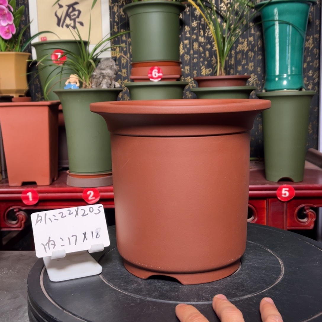 紫砂花盆紫砂花盆