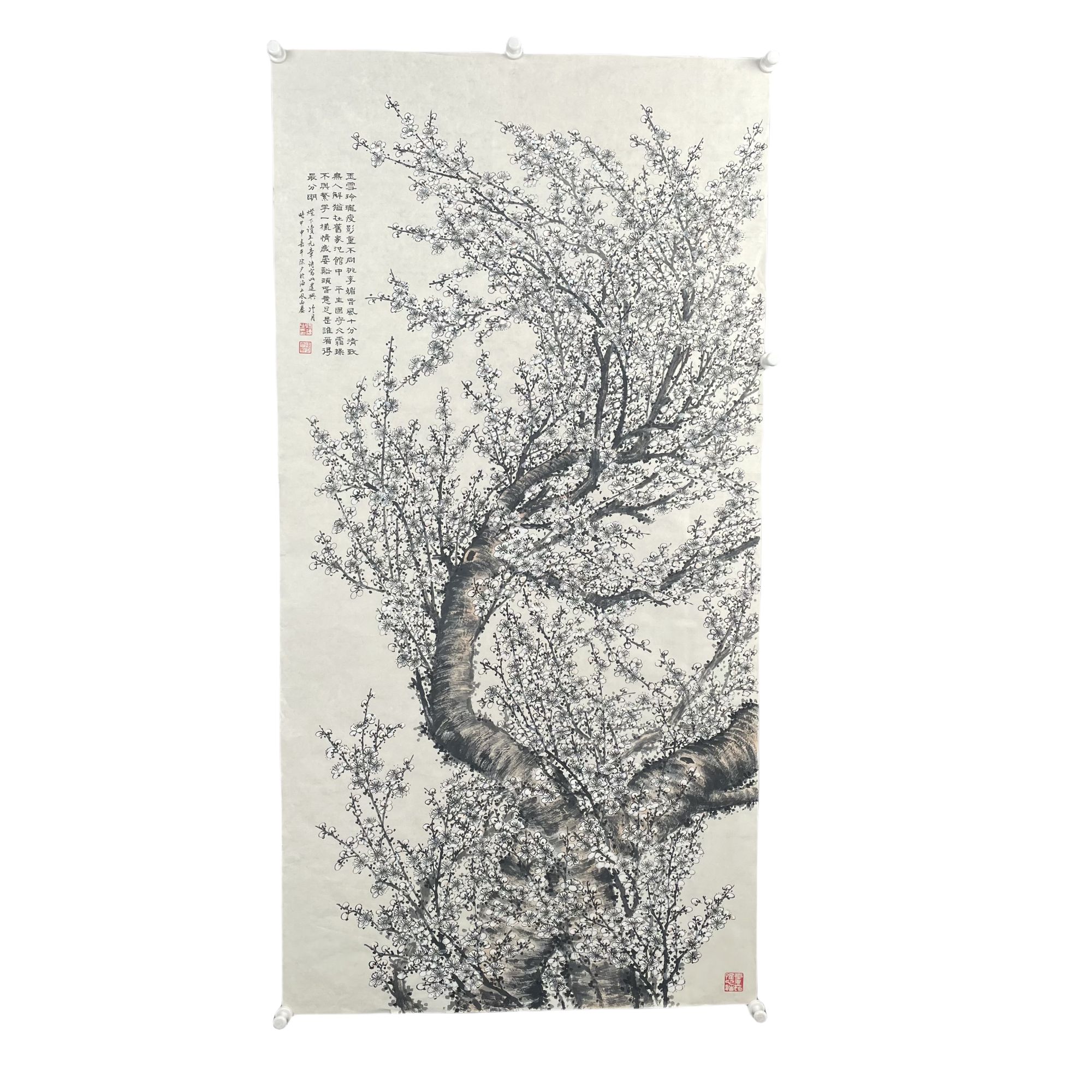a13 梅花 尺寸 68*138