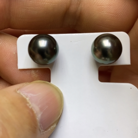 耳饰18K金镶嵌海水珍珠