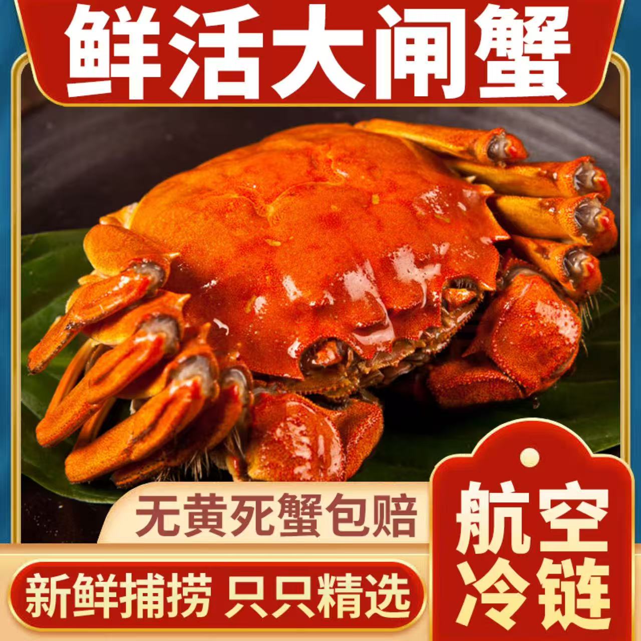 【活蟹】大闸蟹 公蟹4.3两-4.0 两+ 母蟹3.3两-3.0 两 8只送2只包邮