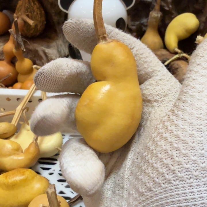 ～****66666666666666666