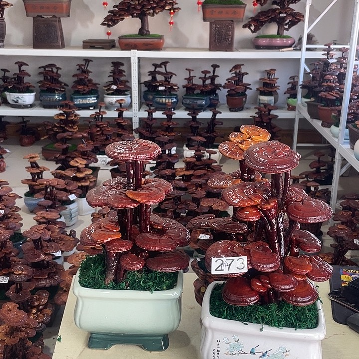 飞**云2738888888888888