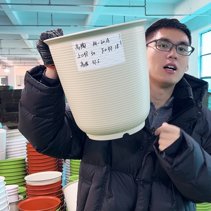 正品高陶口30高31米色无托3只