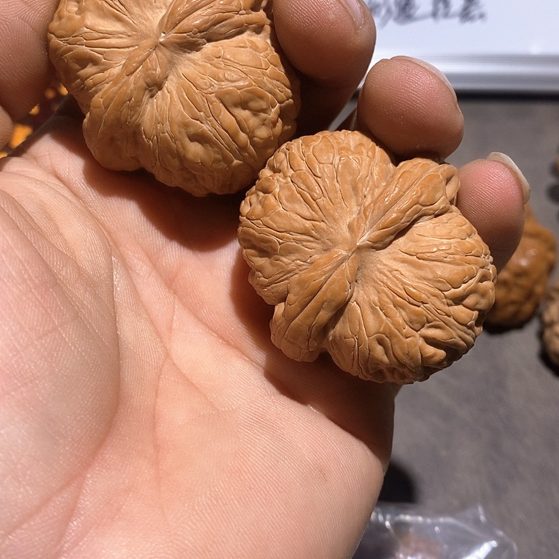 文玩核桃把件1****）元宝