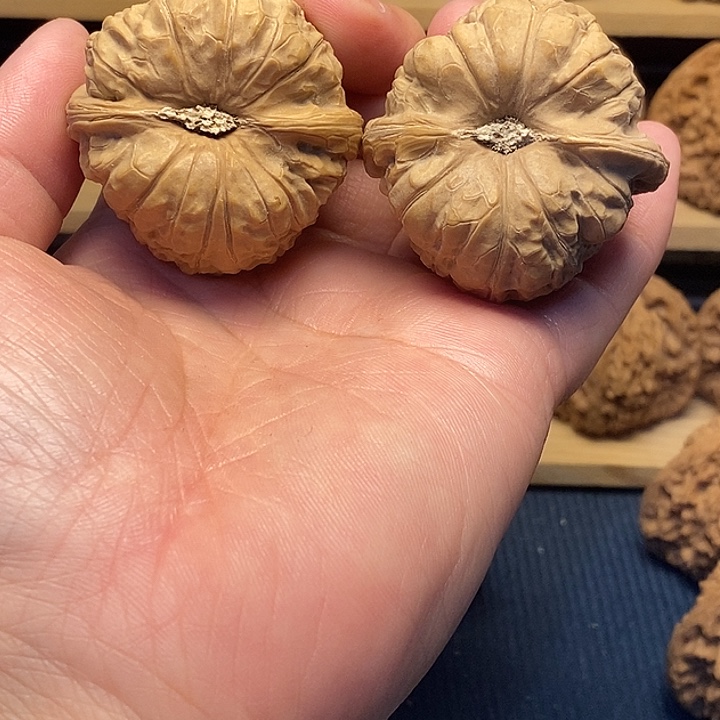 核桃44凹底红皮南瓜