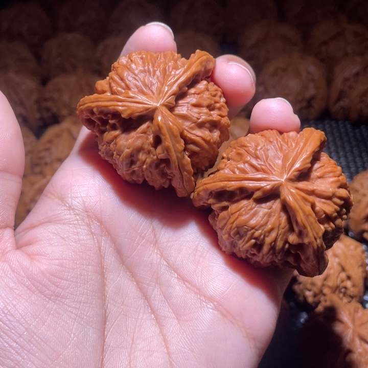 荔****桃核吊坠小妹三棱