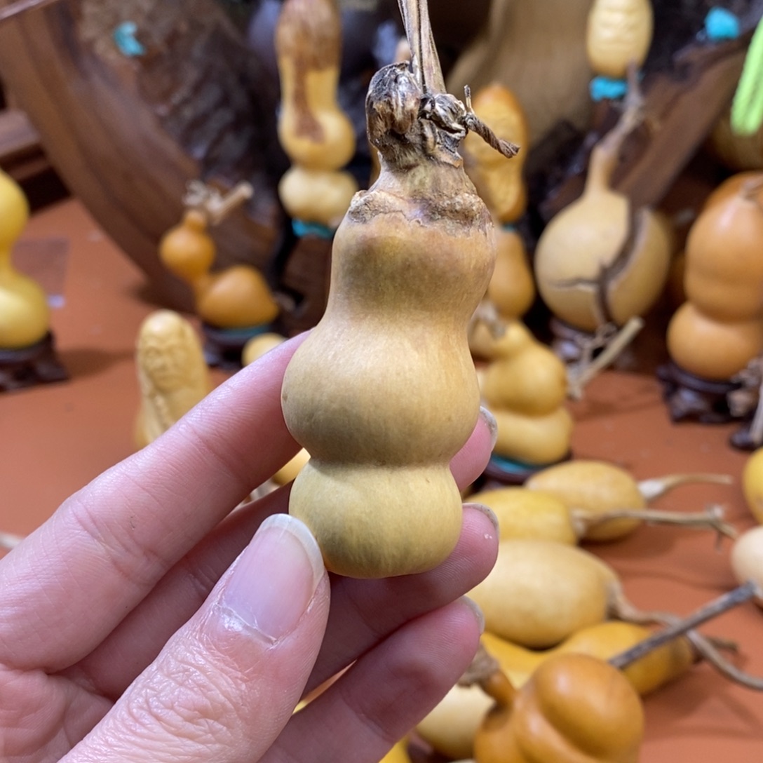 邪***滋教练咯教练咯教练咯