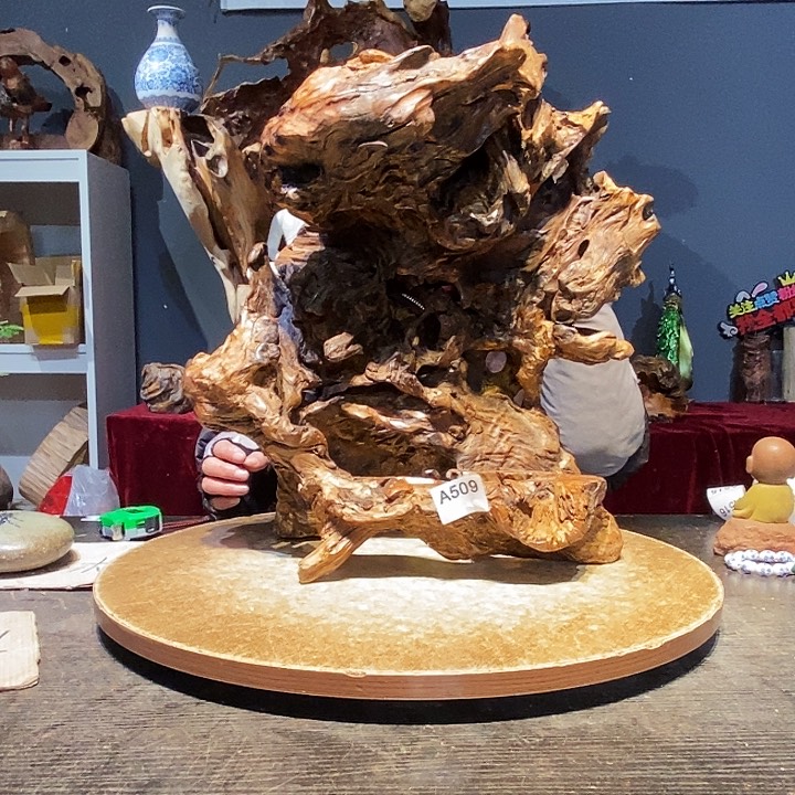 南*客509。株木随行小根艺