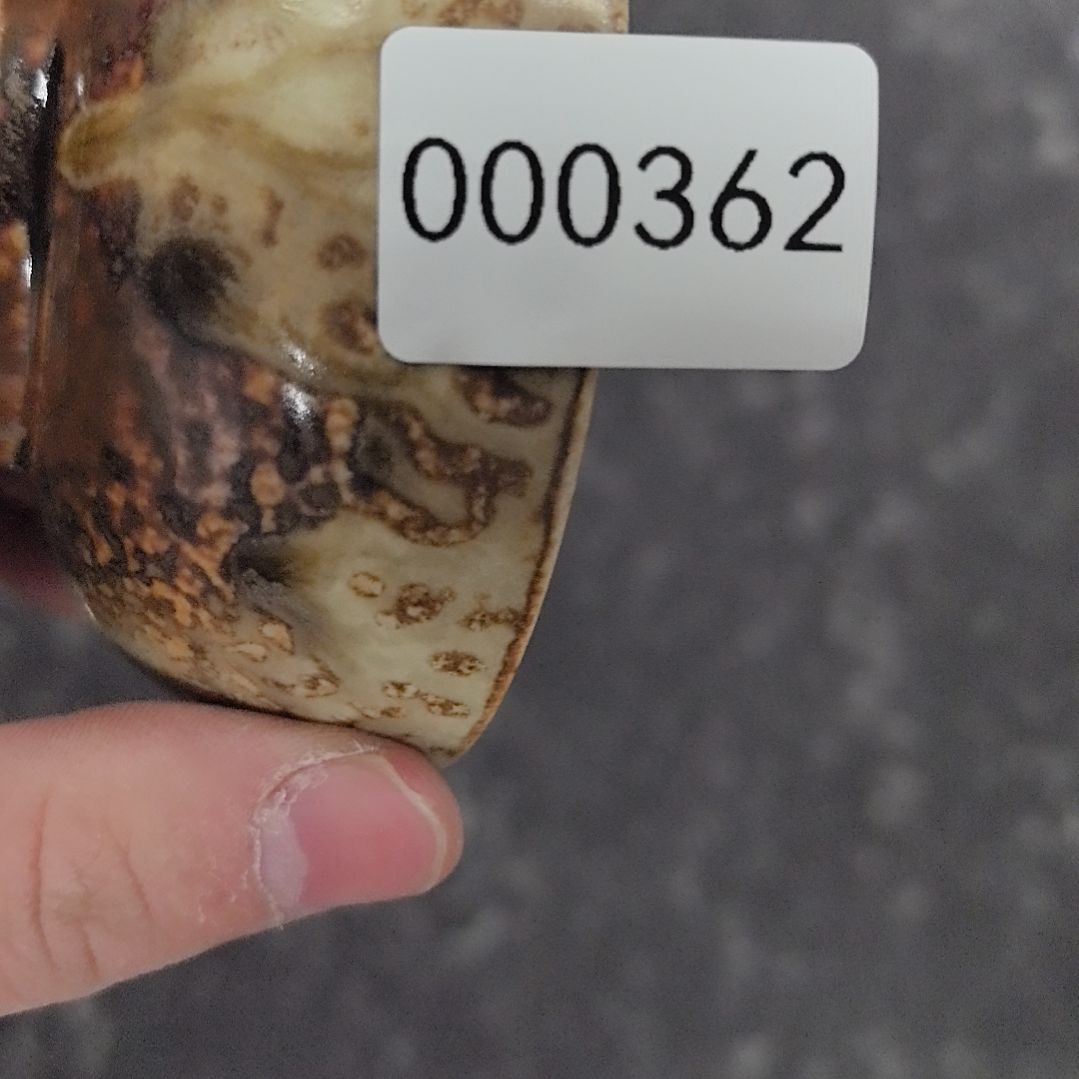 盖碗哦哦哦哦哦哦哦哦欧欧欧