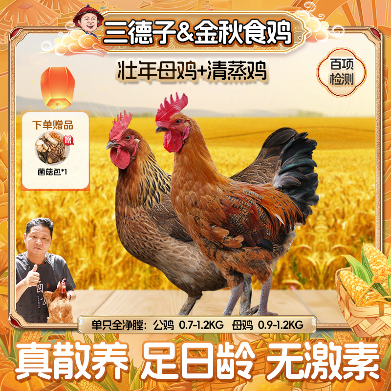 三德子【母子组合】壮年母鸡+清蒸鸡童子鸡山地散养跑山鸡土鸡清蒸